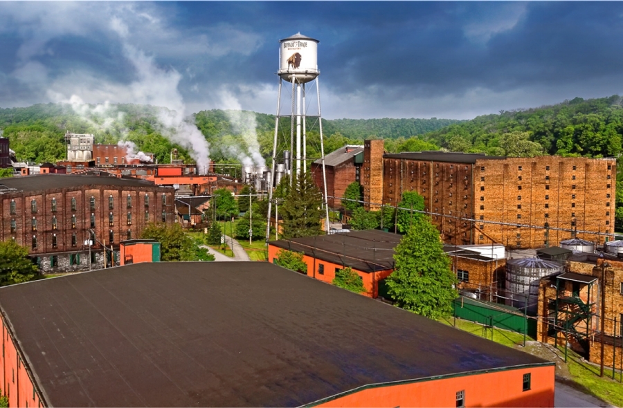 Buffalo Trace 