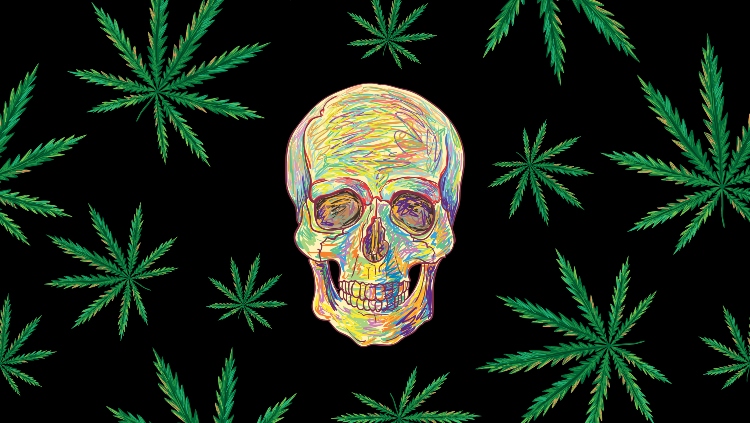 10 Tall Tales From People Who Got Too Stoned For Life