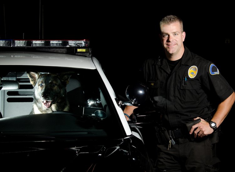 Mandatory Weird News: Dog Steals Cop Car, Eats Officer’s Beef Jerky