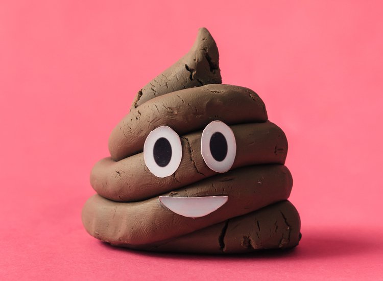 There’s a Museum Dedicated to Poop and It Promises a Crappy Time