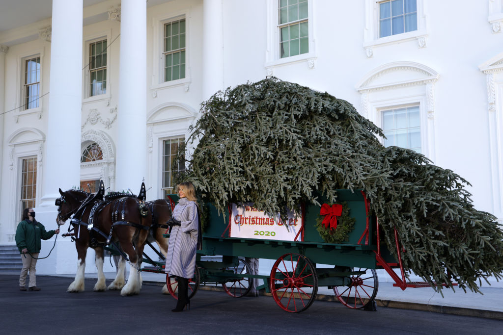 Big-Ass Christmas Tree